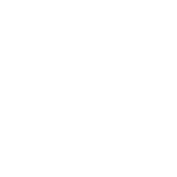 vernonthedev logo