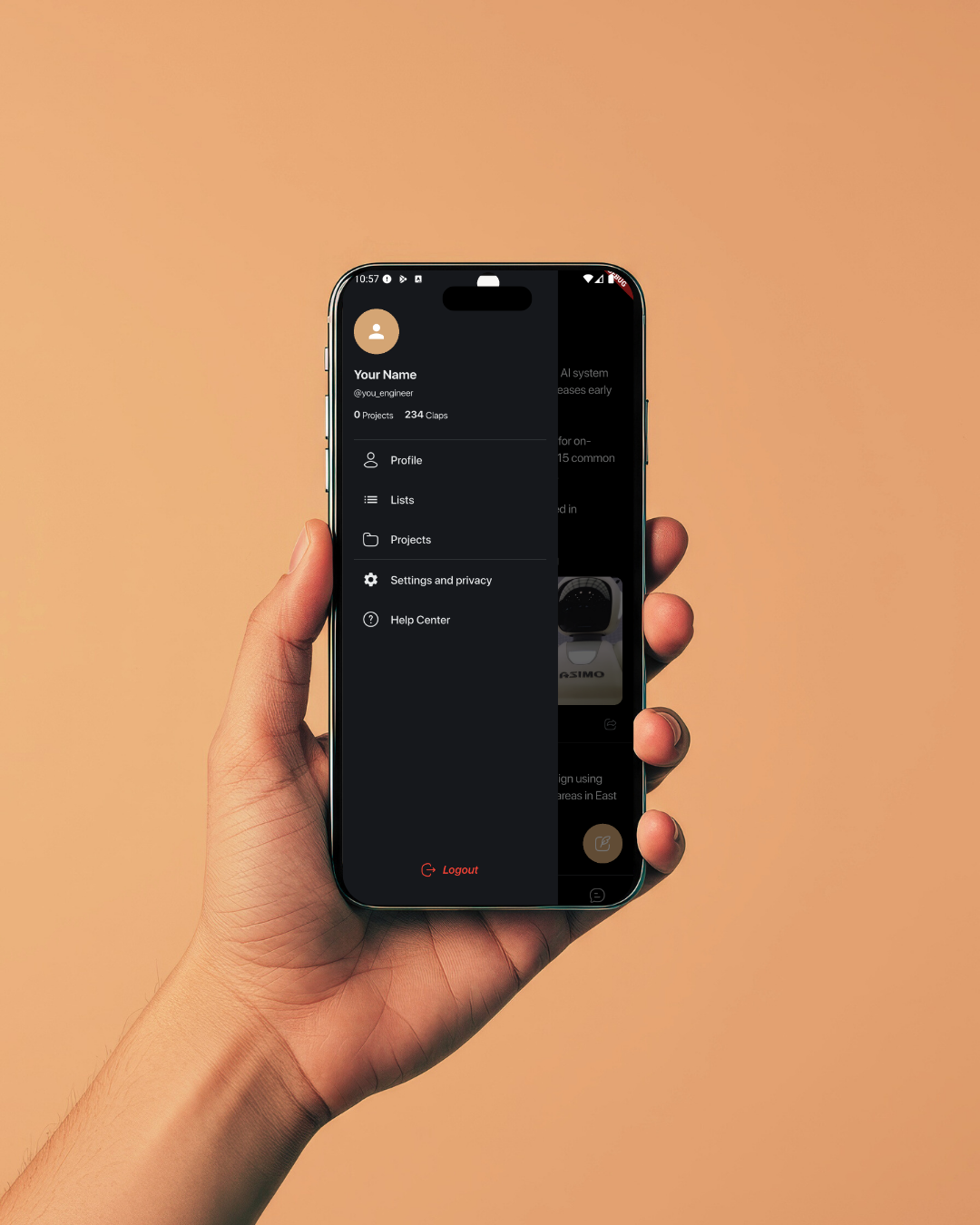 Project screenshot